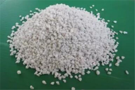 多肉植物扦插繁殖如何操作