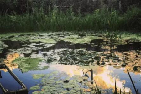 种多肉大棚要投资多少钱