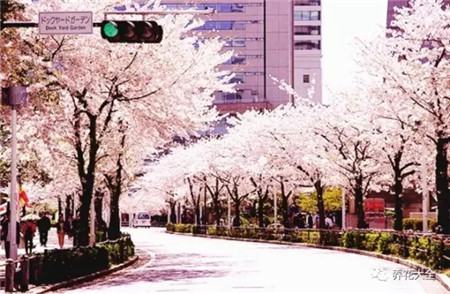 教育部减负三十条全文