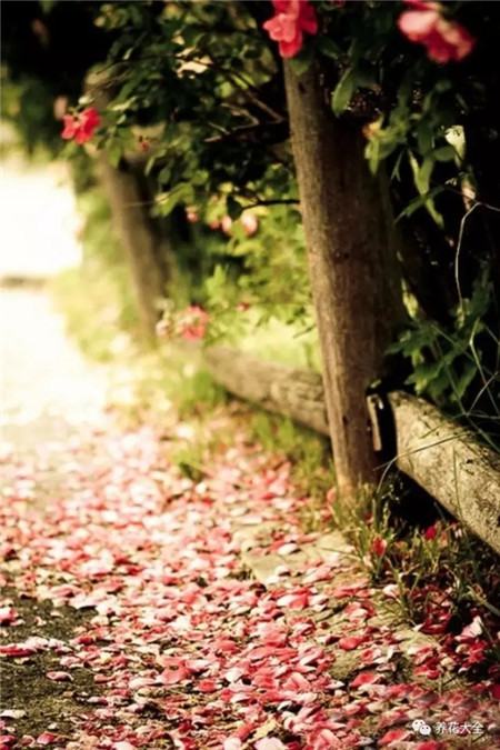 教育部减负三十条全文