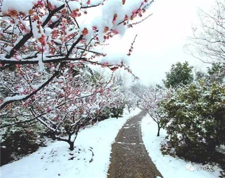 教育部减负三十条全文