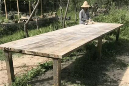 种多肉大棚要投资多少钱