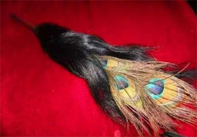 清朝至尊荣耀：探秘高级勋章三眼花翎的稀有性(清朝哪个皇帝最厉害)