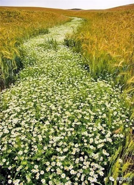 教育部减负三十条全文