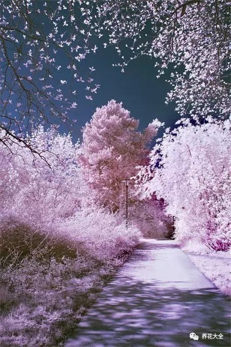 教育部减负三十条全文