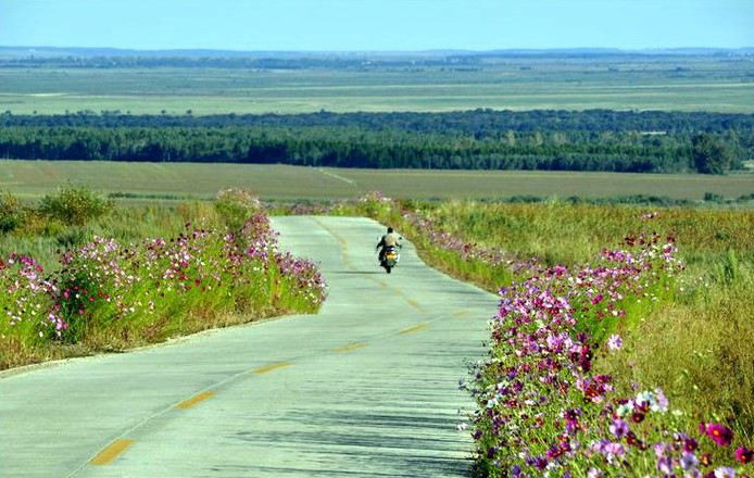 三十条最美“花”路走一辈子都不够(教育部减负三十条全文)