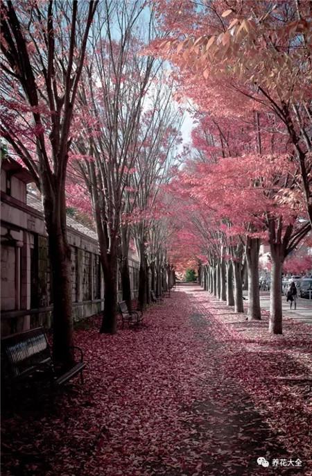 教育部减负三十条全文