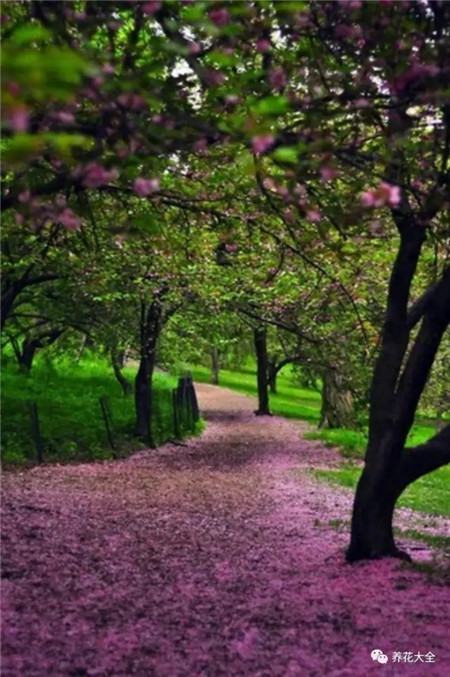 教育部减负三十条全文