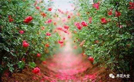 教育部减负三十条全文