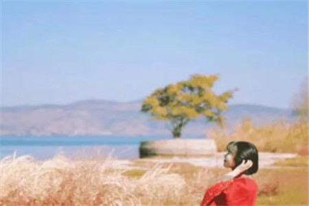 种多肉大棚要投资多少钱