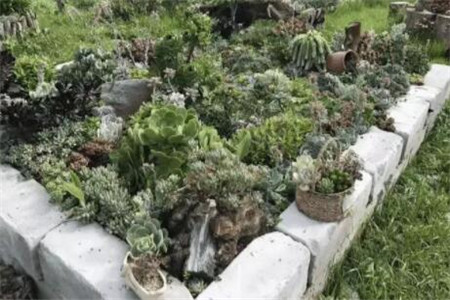 种多肉大棚要投资多少钱