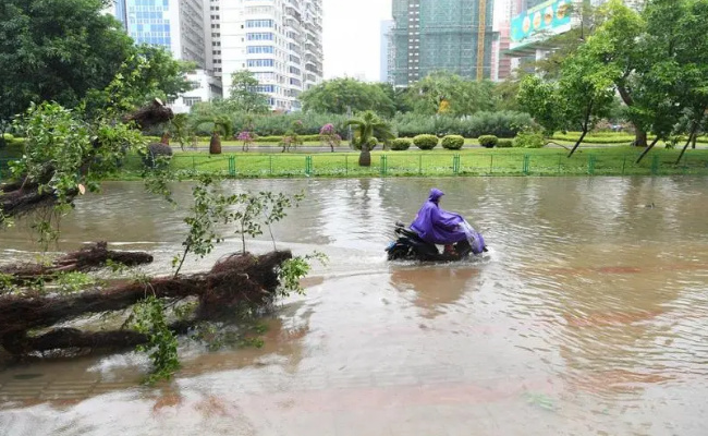 今年在中国大陆登陆的台风