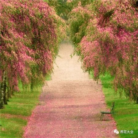 教育部减负三十条全文