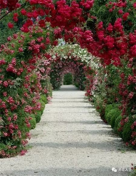 教育部减负三十条全文