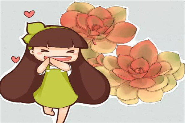 多肉这么扦插呼呼窜成胖娃娃！(多肉植物扦插繁殖如何操作)