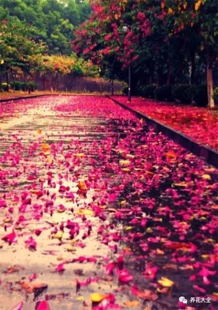 教育部减负三十条全文