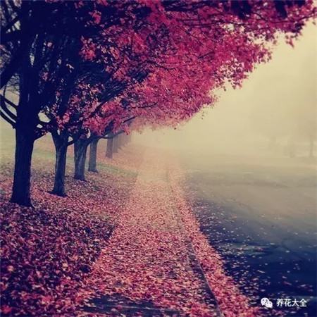 教育部减负三十条全文