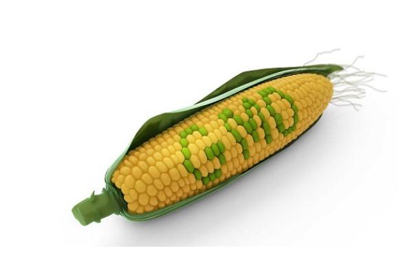 第二批主题教育党课讲稿