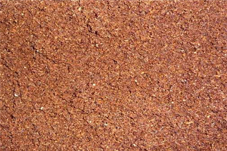 仙人掌类用什么土栽培