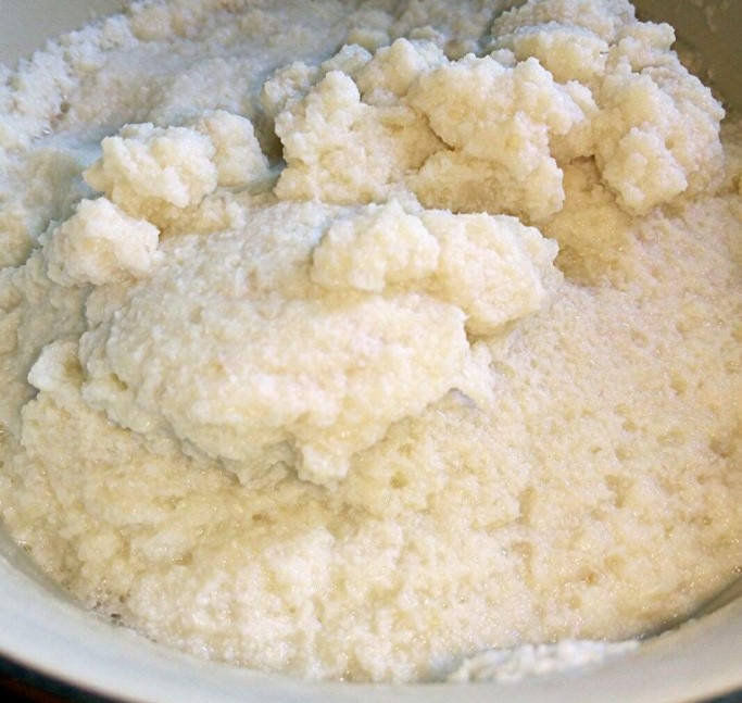 什么肥所有花卉都能用?