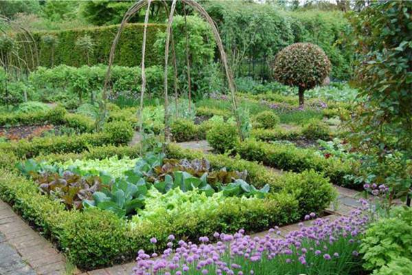 「案例+图示」4种菜园改造详细方案(菜园改造图片欣赏)