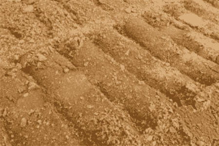 仙人掌类用什么土栽培