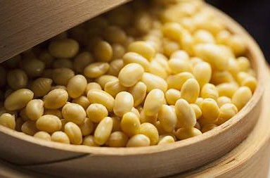 什么肥所有花卉都能用?