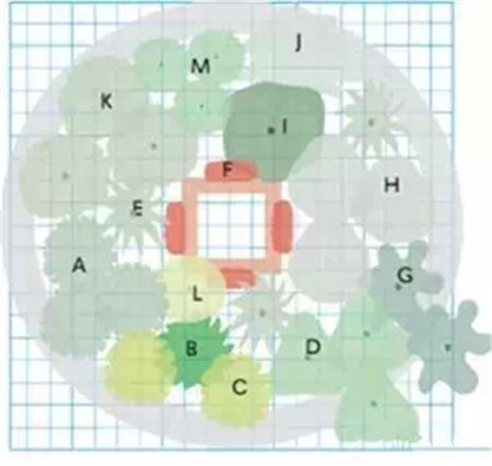 菜园改造图片欣赏