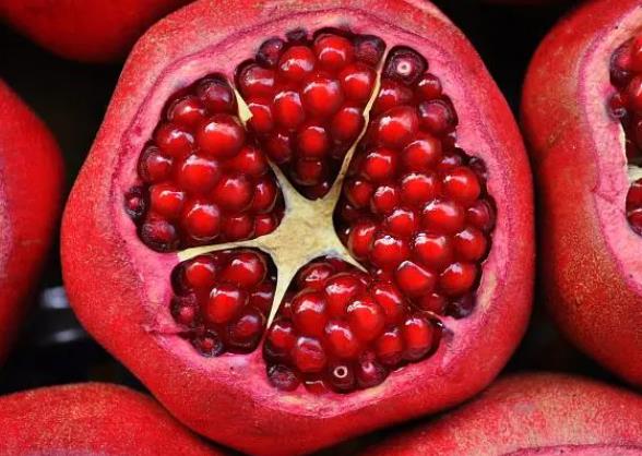 软籽石榴的坏处