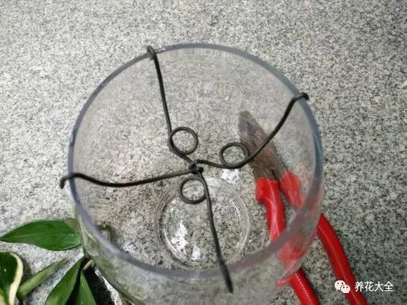 绿萝吊兰用什么土