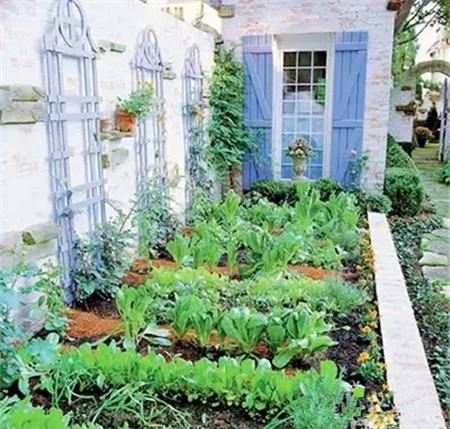 菜园改造图片欣赏