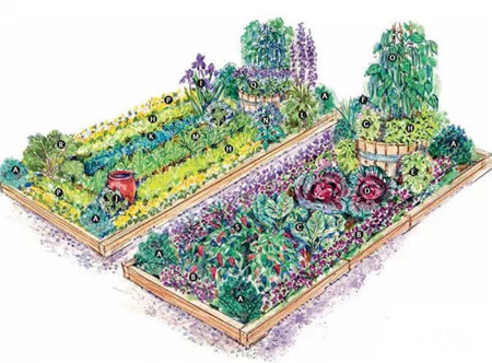 菜园改造图片欣赏