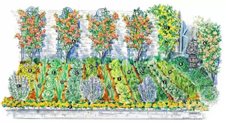 菜园改造图片欣赏