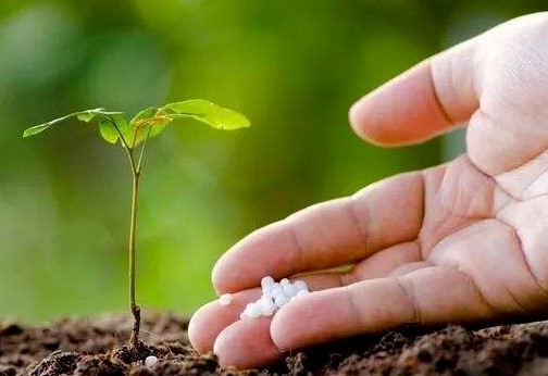 什么肥所有花卉都能用?