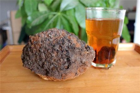 桦树茸的功效与作用禁忌的功效与作用