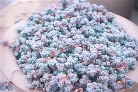 一碗多肉大米饭馋得我口水直流什么意思