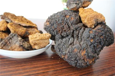 桦树茸的功效与作用禁忌的功效与作用