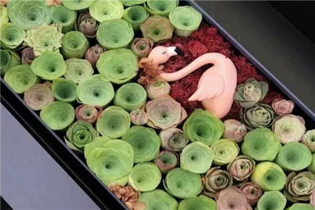 一碗多肉大米饭馋得我口水直流什么意思