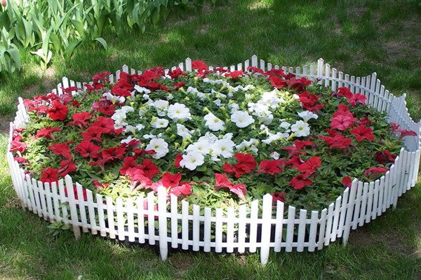 郁金香的种植方法和温度