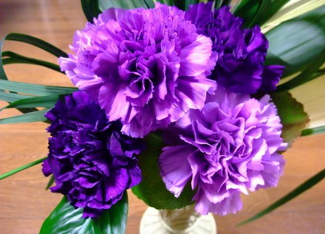 康乃馨各色花语及象征意义红色