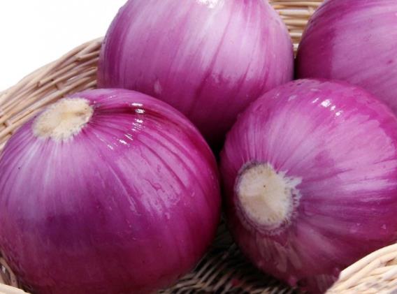 洋葱吃了不好吗
