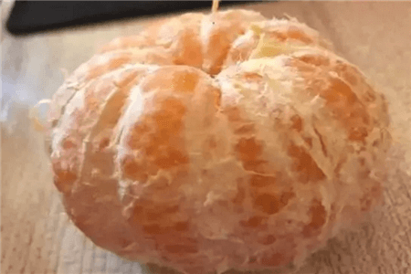 阳台水果盆栽哪些好种