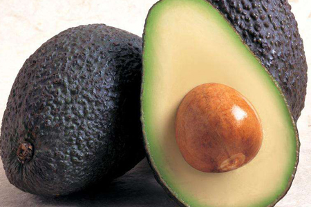 牛油果怎么种植