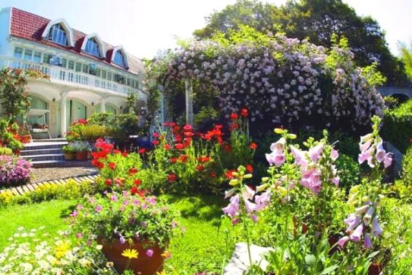 68岁爷爷1万块打造最美私家花园老外都慕名而来！(68岁爷爷1万块打造最美私家花园老外都慕名而来！)