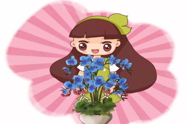 扔掉的蝴蝶兰剪一刀花朵咕噜咕噜冒邻居争着抢着要！(蝴蝶兰 剪)