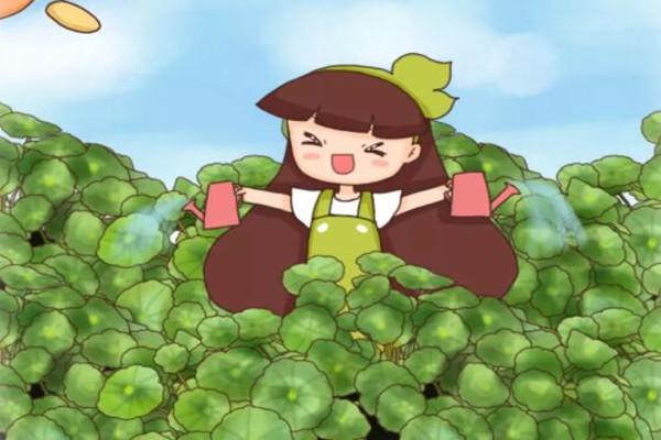 7种花只要你敢养就能爆炸式狂长100个花盆都不够！(爆炸花是什么花)