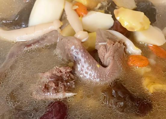 天麻炖鸽子孕妇能吃吗天麻炖鸽子几天吃一次(孕期天麻炖鸽子能吃吗)