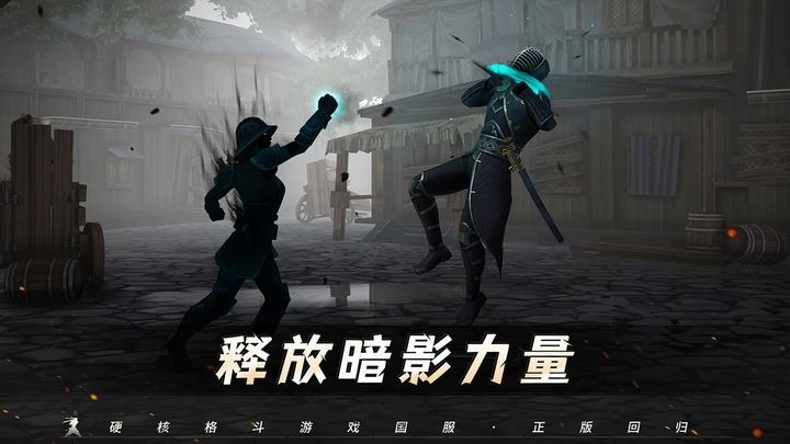 暗影格斗三武士刀