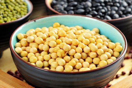 长寿花怎么上肥料