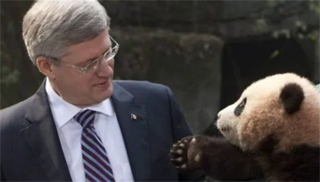 熊猫外交有何特点